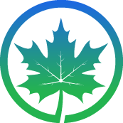 Jacaranda Tree Pruning Service Pros