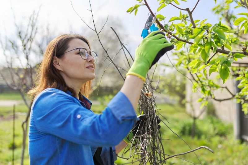 Apple Tree Pruning in Pottstown, PA