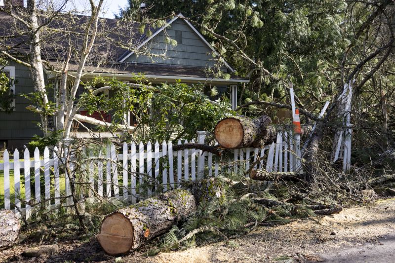 Apple Tree Removal in Pottstown, PA