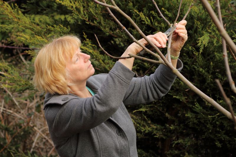 Branches Pruning in Aiken, SC