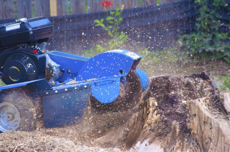 Bush Stump Grinding in Aiken, SC