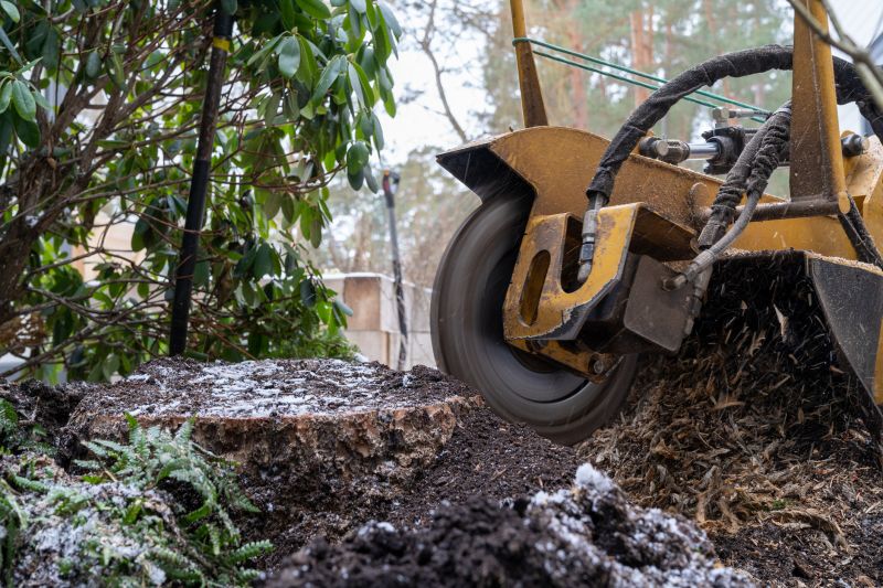 Commercial Stump Grinding in Waldorf, MD