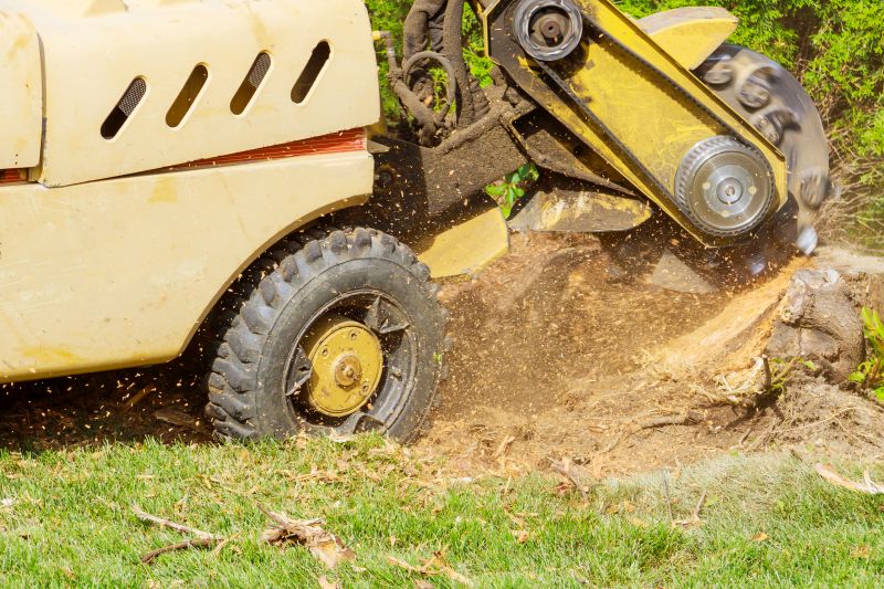 Commercial Stump Grinding in Allentown, PA