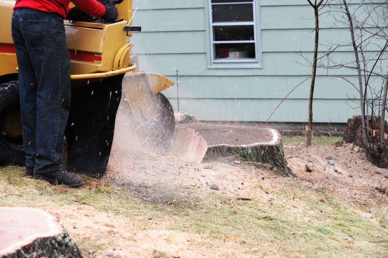 Commercial Stump Grinding in Aiken, SC