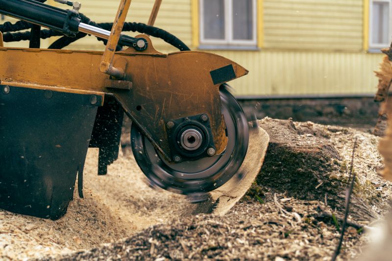Commercial Stump Grinding in Aiken, SC
