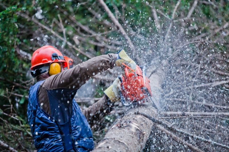 Commercial Tree Trimming in Duluth, MN