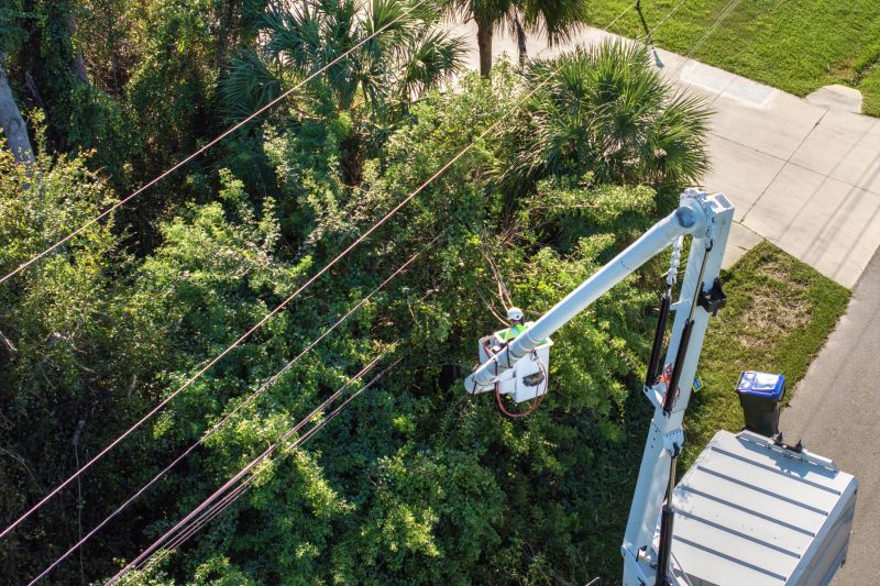 Commercial Tree Trimming in Montgomery County, PA