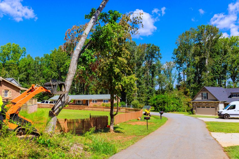 Dogwood Tree Removal in Aiken, SC