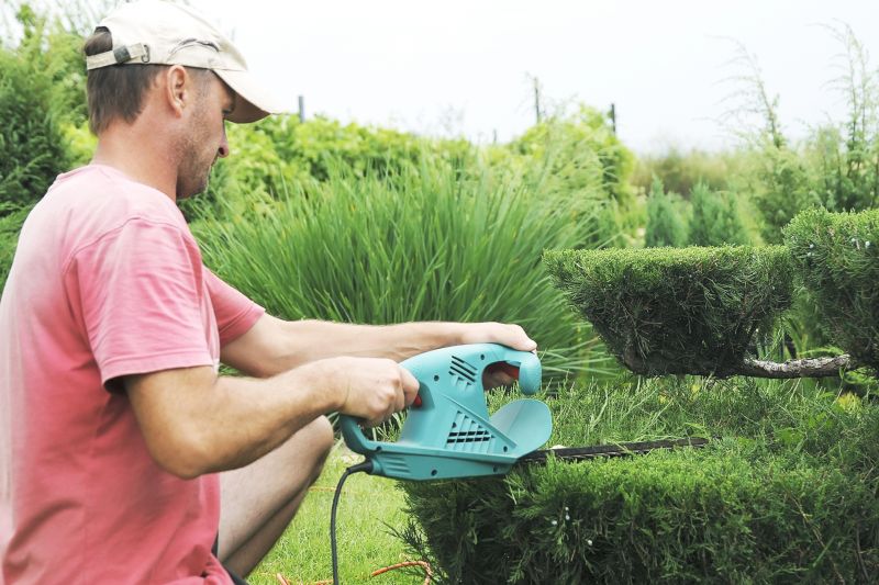 Hedge Shaping Service in Aiken, SC