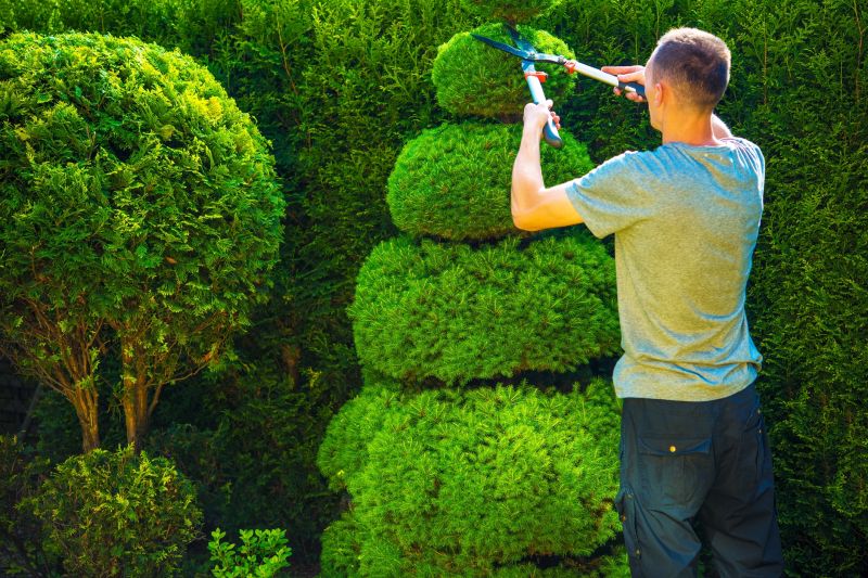 Shrub Trimming in Honolulu, HI