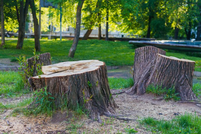 Tree Stump Removal in Waldorf, MD